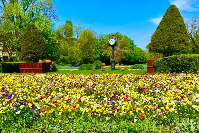 Gradina Cismigiu din Bucuresti