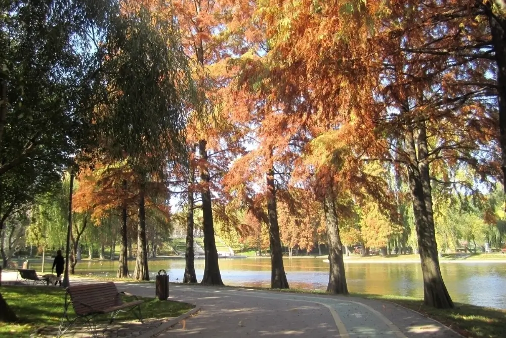 Istoria Parcului Alexandru Ioan Cuza