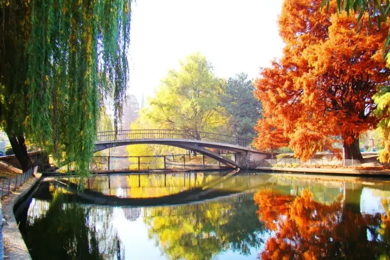 Parcul Herastrau din Bucuresti (Parcul Regele Mihai I)