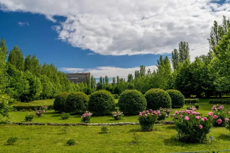 Gradina Botanica „Dimitrie Brandza” (Bucuresti)