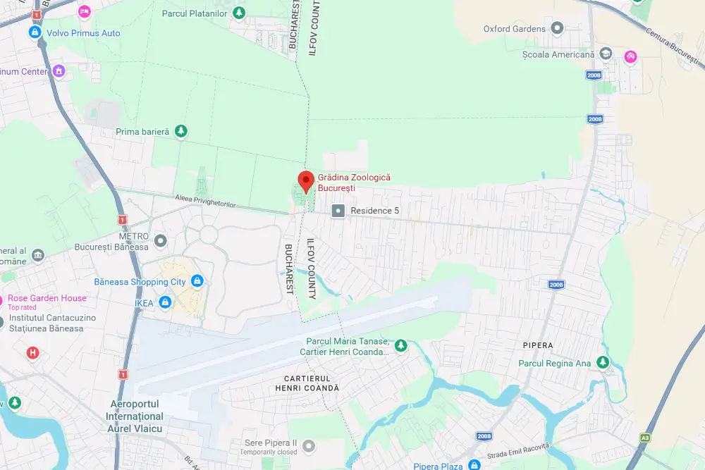 Unde se afla si cum poti sa ajungi la Zoo Bucuresti